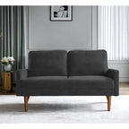 Velvet Loveseat Sofa