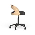 Sedia Ashwood