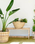Banc en rotin Cynthia Ferguson